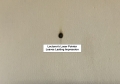 2019-04-10 09.41.49a