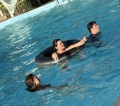 Pool 06